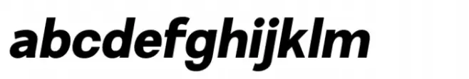 Minomu Black Italic