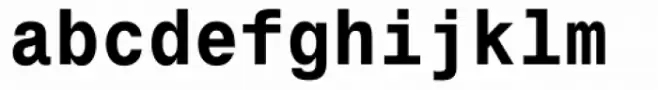 Monospace 821 Std Bold