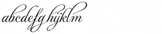 MonteCarlo Script C