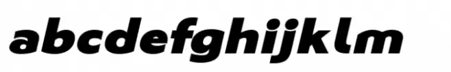 Neosande Black Italic