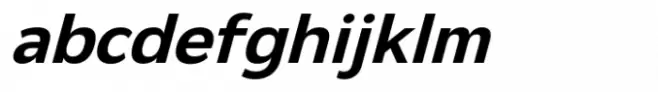 Netadyne Semi Bold Italic
