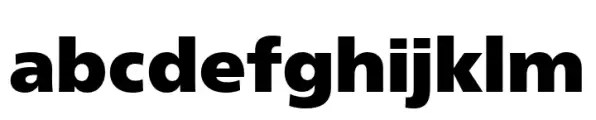 Neue Frutiger Paneuropean Extra Black