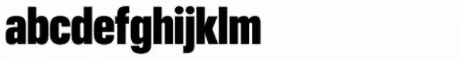 Neue Plak Condensed Extra Black