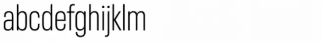 Neue Plak Condensed Light