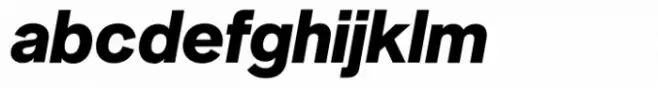 Neue Singular D Extra Bold Italic