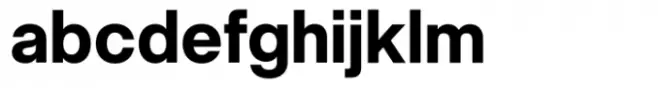 Neue Singular H Bold