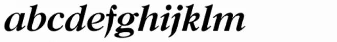 New Caslon SB Bold Italic
