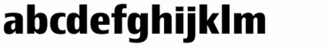 Newbery Sans Pro Bold