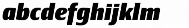Newbery Sans Pro Extra Bold Italic