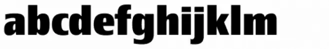 Newbery Sans Pro Extra Bold