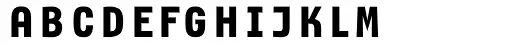 Newsletter Bold Caps