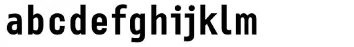 Newsletter Bold