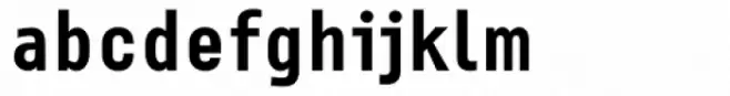 Newsletter Bold