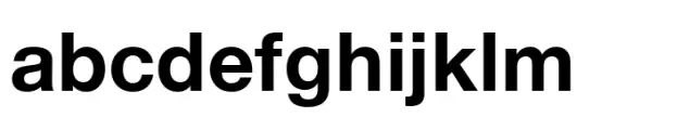 Nimbus Sans Arabic Bold