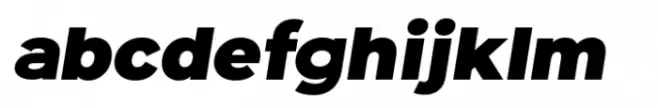 Optika Black Italic