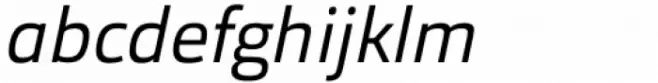 Orgon Plan Book Italic