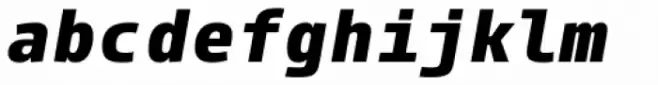 Paradroid Mono Extra Bold Italic