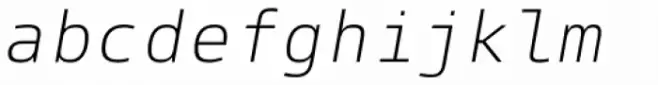 Paradroid Mono Light Italic