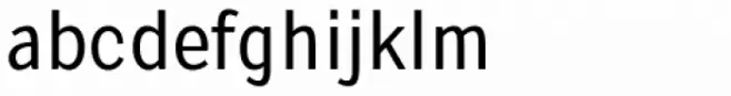 Pentay Sans Book