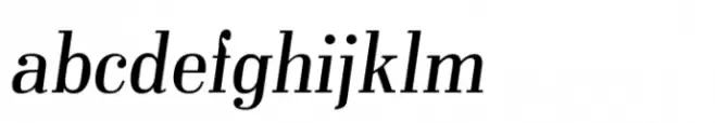 Pergamon Book Italic
