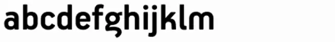 PF Handbook Pro Bold