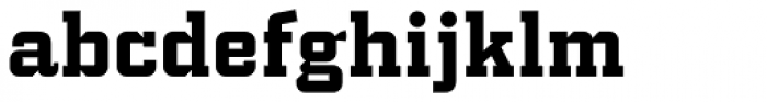 PF Synch Pro Bold