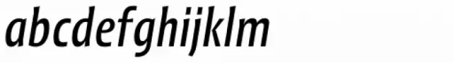 Picador Sans Italic