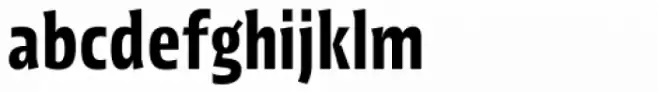 Picador Sans Semi Bold