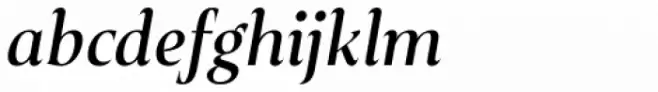 Plaisir Medium Italic