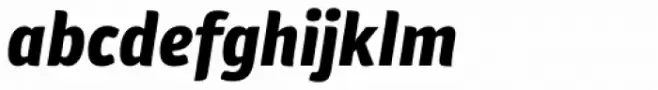 Plantago Black Italic