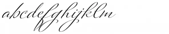 Platinus Script Pro Bold