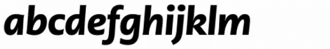 PMN Caecilia Sans Pro Head Black Italic