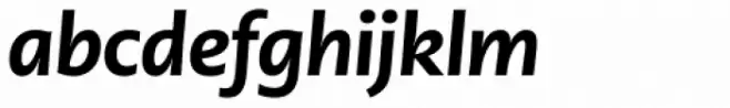 PMN Caecilia Sans Pro Head Heavy Italic