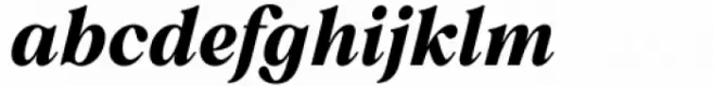 Polarity Bold Italic
