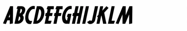 Political Poster JNL Oblique