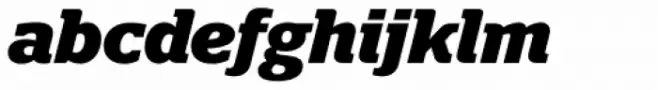 Polyphonic Bold Italic