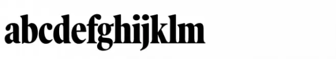 Poynter Old Style Display Condensed Bold