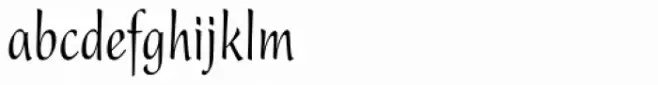 Present Pro Condensed