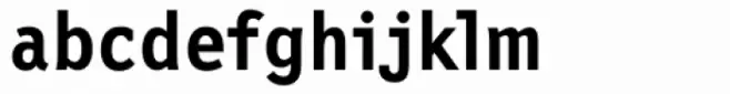 PT New Letter Gothic Bold