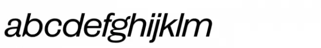 Publish Gothic Expanded Std Italic