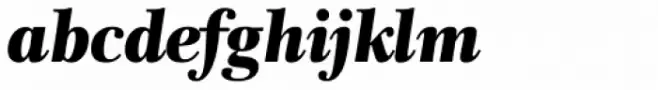Rabenau Pro Poster Italic