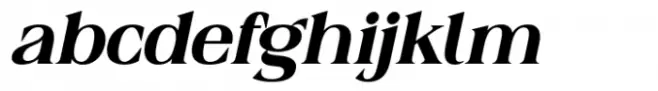 Raiken Medium Italic