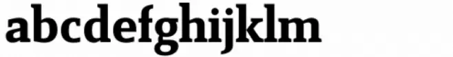Reba Samuels Serif 4