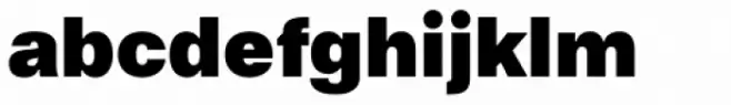 Referenz Grotesk Black