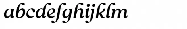 Reigo Medium Italic