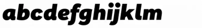 Remora Corp W2 Black Italic