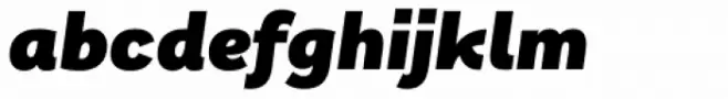 Remora Sans W2 Black Italic