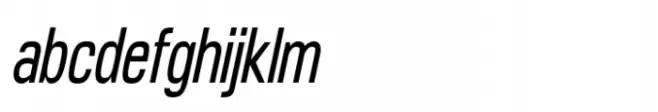 Robine Italic