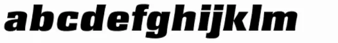 Rochester Serial Black Italic