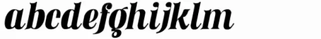 Satisfice Italic